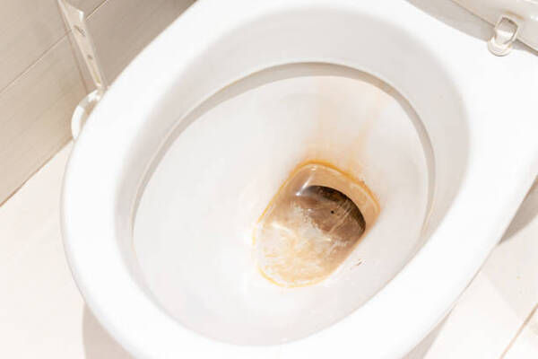 9 Tips To Effectively Remove Rust From Toilets