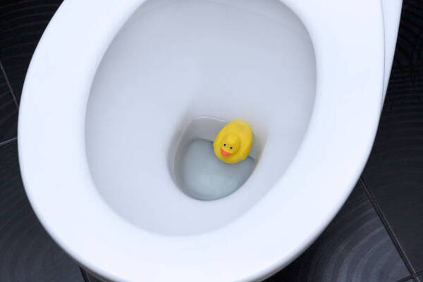 10 Weird Things People Have Flushed Down The Toilet