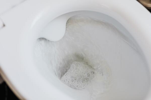 10 Common Reasons Why Your Toilet Won't Flush