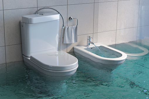 9 Tips To Stop A Toilet From Overflowing