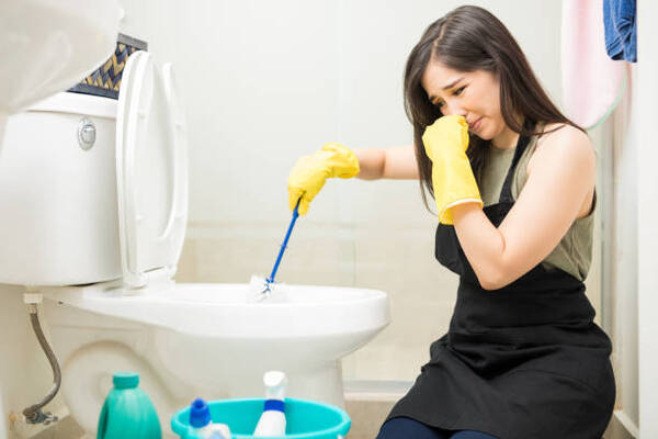 12 Tips To Effectively Clear Bathroom Odours