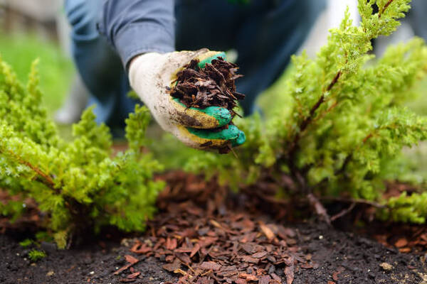 9 Benefits Mulch Provides Your Yard