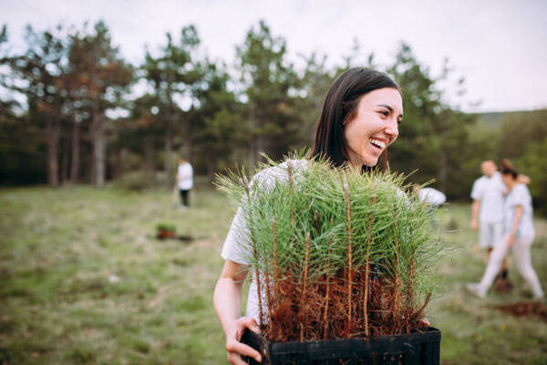 9 Reasons Why You Should Take Care Of Your Trees After Lopping Them