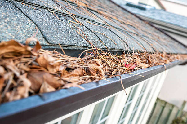 Gutter Protection Tips: 10 Ways To Unblock Your Downpipes