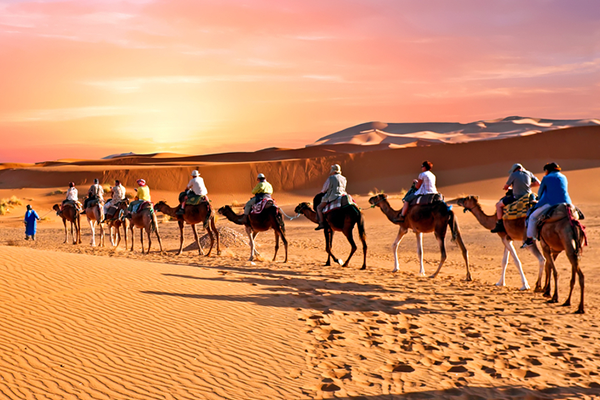 Camel Safari In Jaisalmer